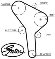 Gates 5564XS Zahnriemen Steuerriemen FüR Seat FüR Skoda FüR Vw