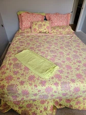 Queen Cotton AMY BUTLER Welspun Pink Green Sari Bloom Floral Paisley 10 Piece