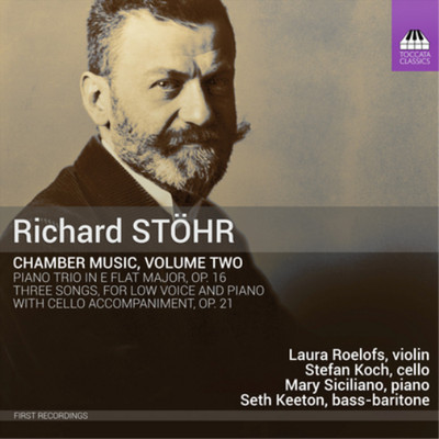 Richard Stohr Richard Stöhr: Chamber Music - Volume 2 (CD) Album (US IMPORT)
