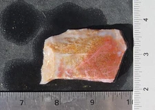 Colibri Agate     Lapidary Slab                    T1249