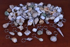 100 PCS ASSORT MIX SEA SHELL KEY RING CHAIN BEACH