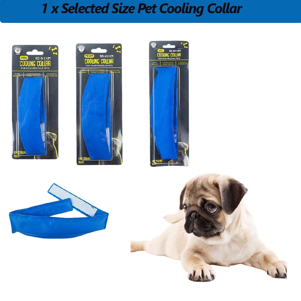 Chill collar cheap