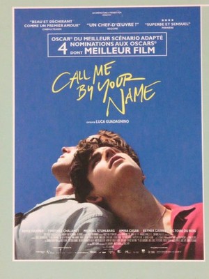 DVD EN V.O.S.T / CALL ME BY YOUR NAME / LUCA GUADAGNINO / TRES BON ETAT
