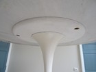 Picture 8 of 13