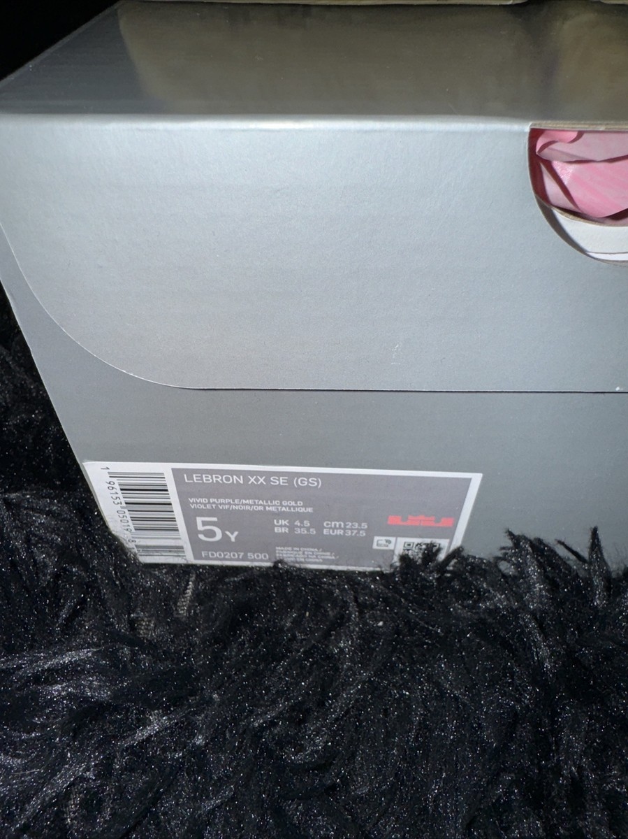 🔥 Nike Lebron XX SE (GS) Big Kids' Shoes Vivid Purple