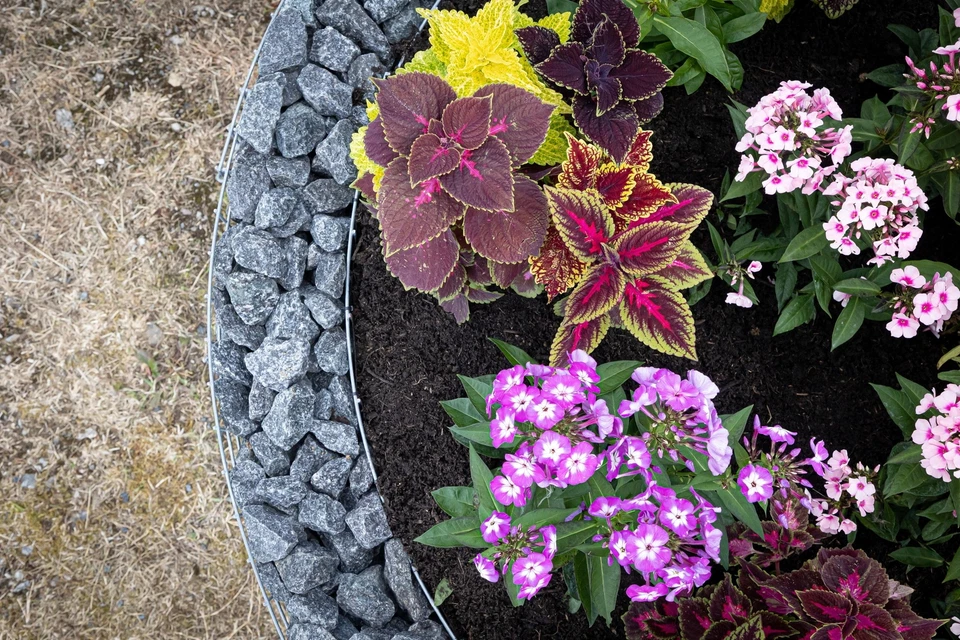 Gabiona Gabionenhochbeet, Steinbeet | Pflanzbeet für Garten und Terrasse - Bild 4 von 4
