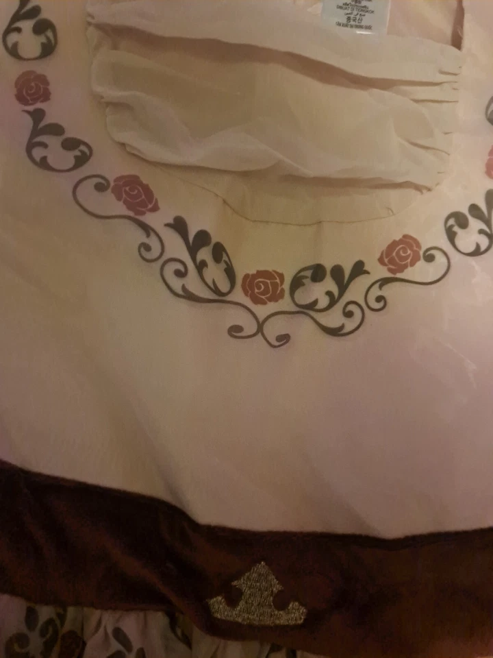 Vestido Princesa Cenicienta Disney - Niñas 11-12 Rosa Pálido y Púrpura Vestido Etiqueta $60 Foto 3 de 4