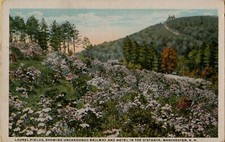 Laurel Fields Uncanoonuc Railway & Hotel Manchester NH Postcard 1921 USA Made