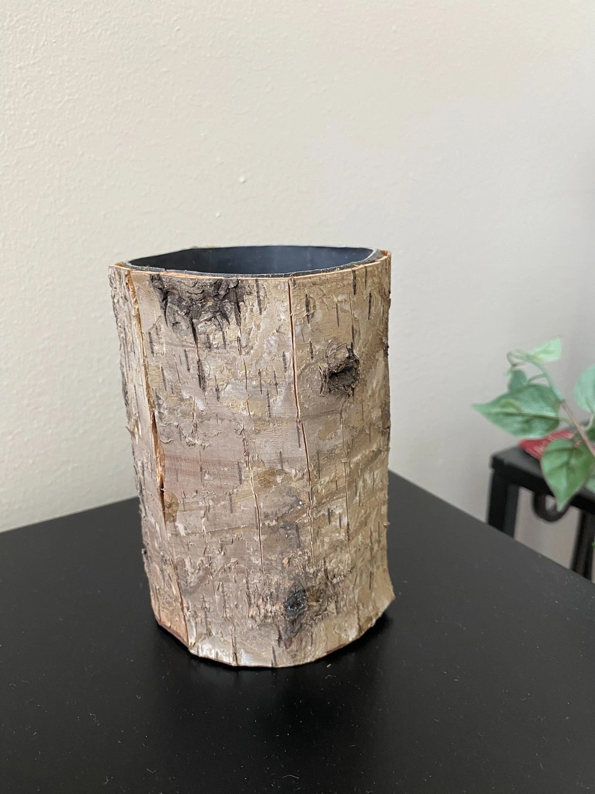 Natural Birch Bark Vase (Set of 8) 5"