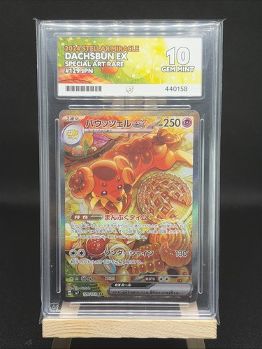 Dachsbun ex 129/102 Sv7: Stellar Miracle Holo (Japanese)