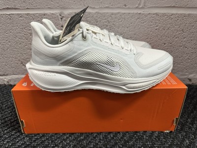 Size 7 - Nike Pegasus 41 GORE-TEX Summit White FQ1356-101 | eBay display picture 1