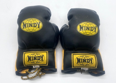 WINDY Boxing Gloves 4 oz Pair
