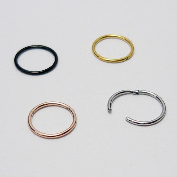 Titan Nasenpiercing Segmentring Nase Ring Nose Ohr Lippen Scharnier Clicker - Bild 1 von 1