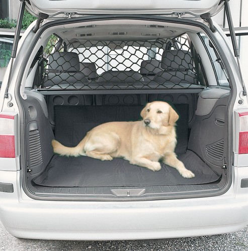 Hundenetz Fur Auto