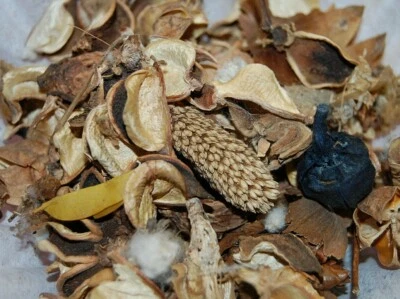 Spiritual Cleansing Aromatic Bath Herbs, Santeria, Hoodoo, Remove Hexes, Curses