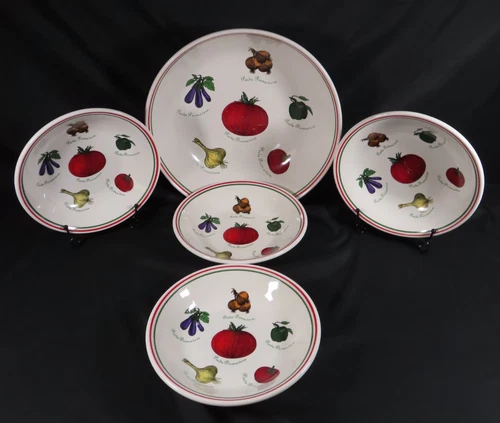 Vintage 13 Inch Pasta Primavera Serving Bowl & 4 Pasta Bowls 9 Inches from China