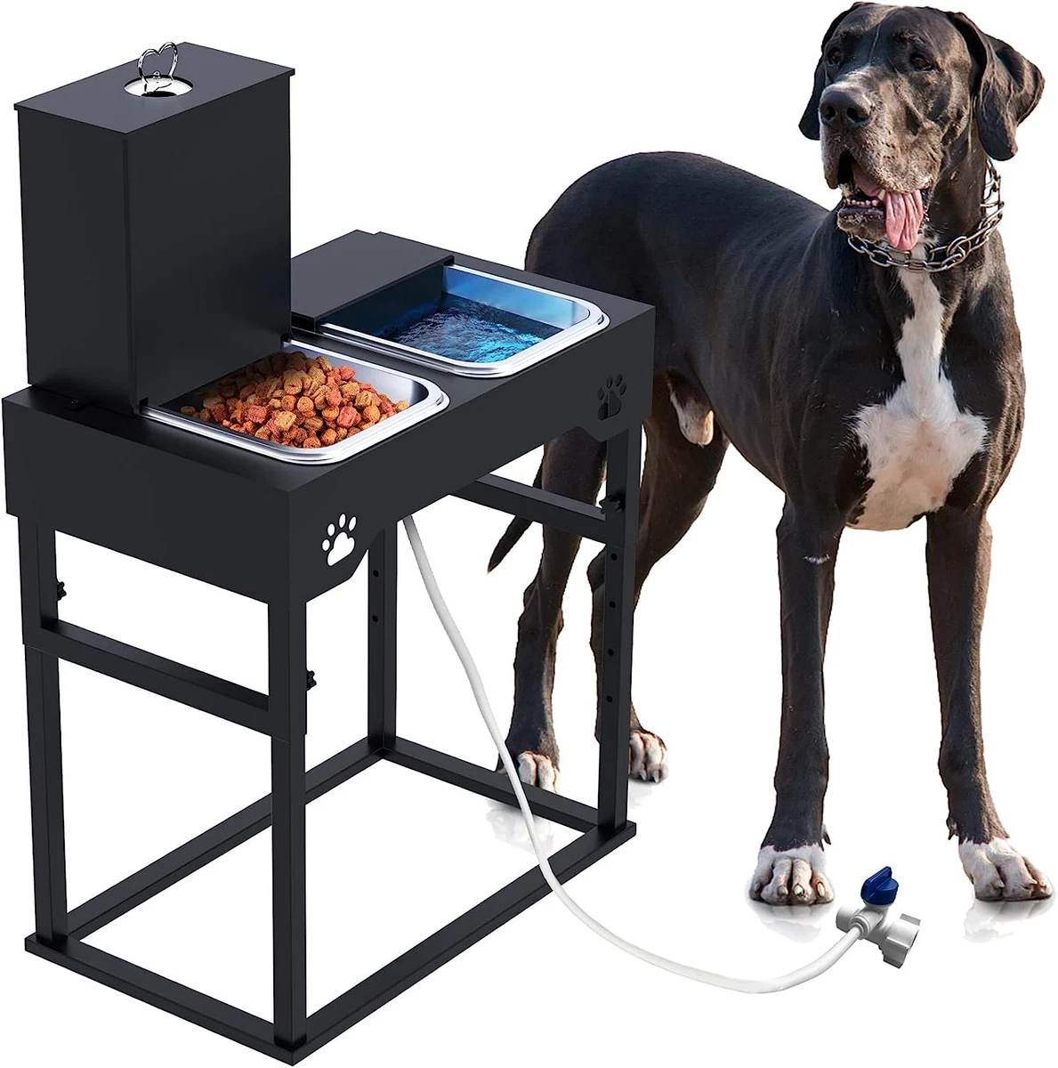 Elevated Automatic Dog Feeder for Large Dog Replendish Faucet