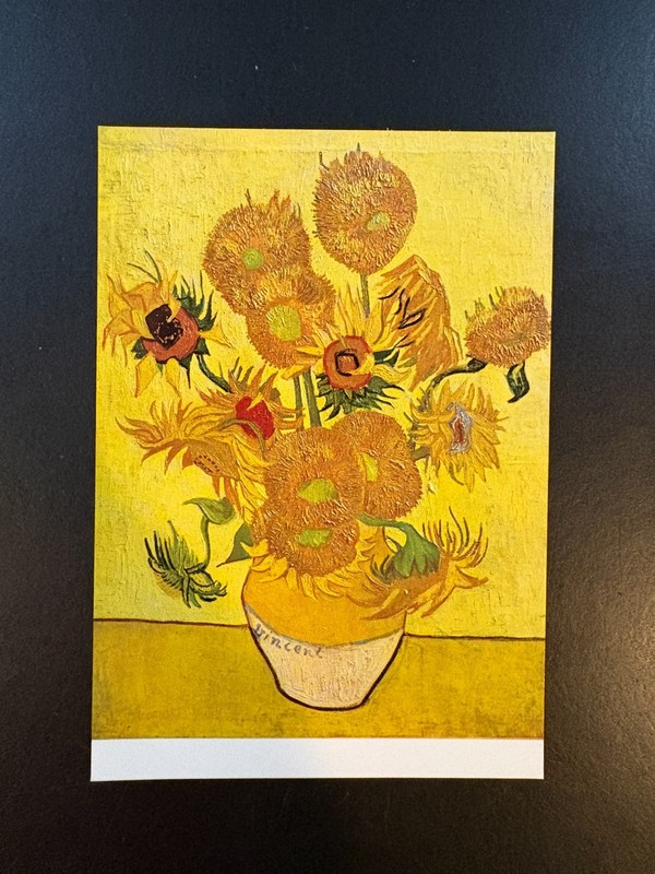 Postcard - Vincent Van Gogh, Sunflowers, Museum Amsterdam 6 x 4
