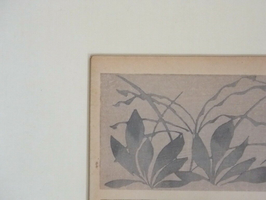 Picture 5 of 12
