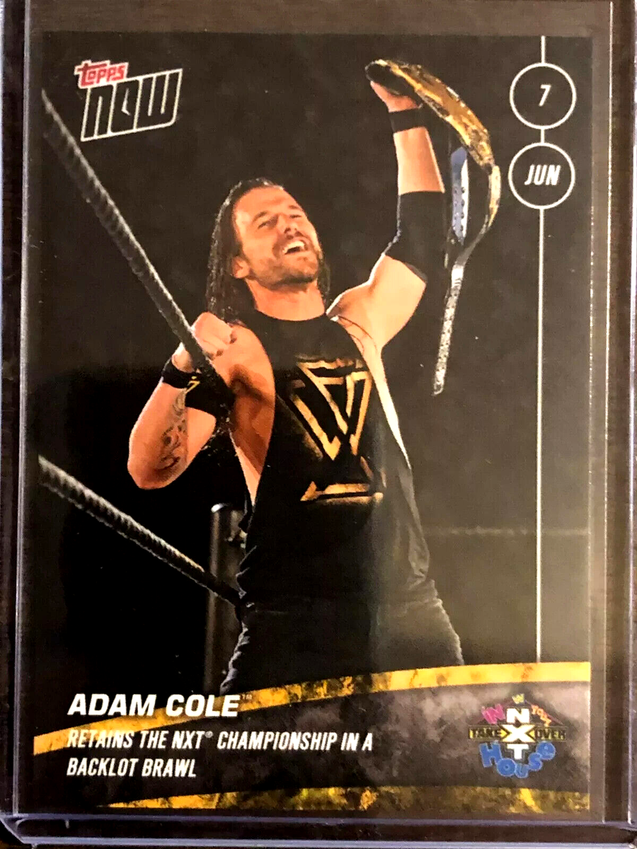 ADAM COLE DEFEATS VELVETEEN DREAM 2020 TOPPS NOW WWE NXT #13 IN YOUR HOUSE  SSP