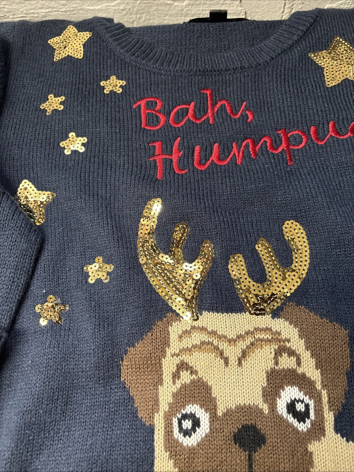 Pug Ugly Christmas Sweater Charlotte Russ Almost Famous Size Large Blue