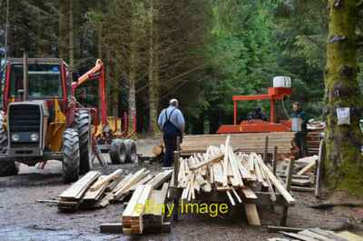 Foto 6x4 Sägewerksarbeiten, Wald über Rhubodach Colintraive A tragbare Säge c2014