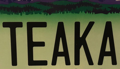 Colorado vanity TEAKA license plate Latika Teak - Picture 3 of 12