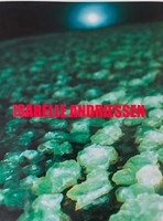 Dorm | Isabelle Andriessen | Englisch | Taschenbuch | Kartoniert / Broschiert