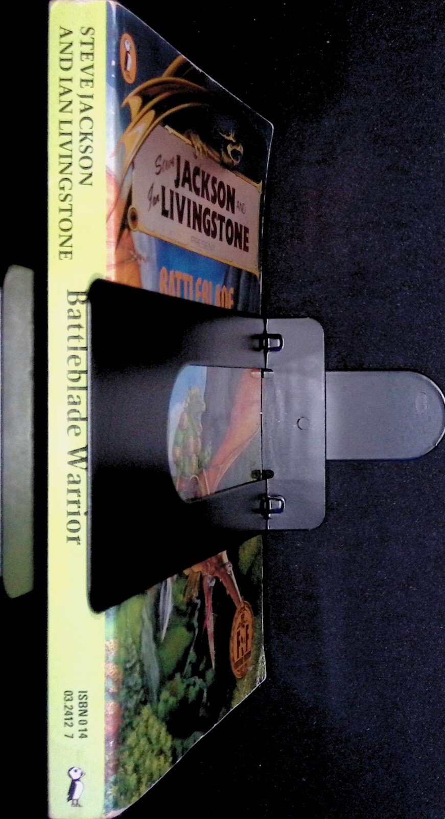 Picture 3