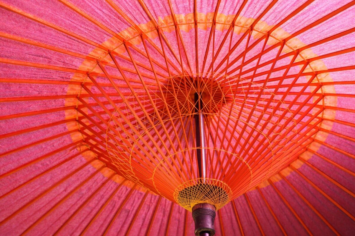 Japanese Umbrella Traditional High Quality Parasol in Japanese Umbrella Traditional High Quality Parasol in