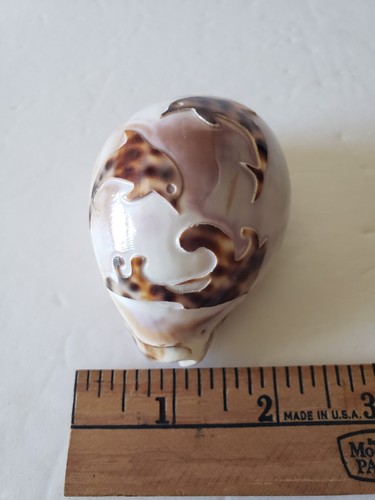 Shell Art Carved Tiger Cowrie Cameo with Dolphins Playing in Waves-Item 2