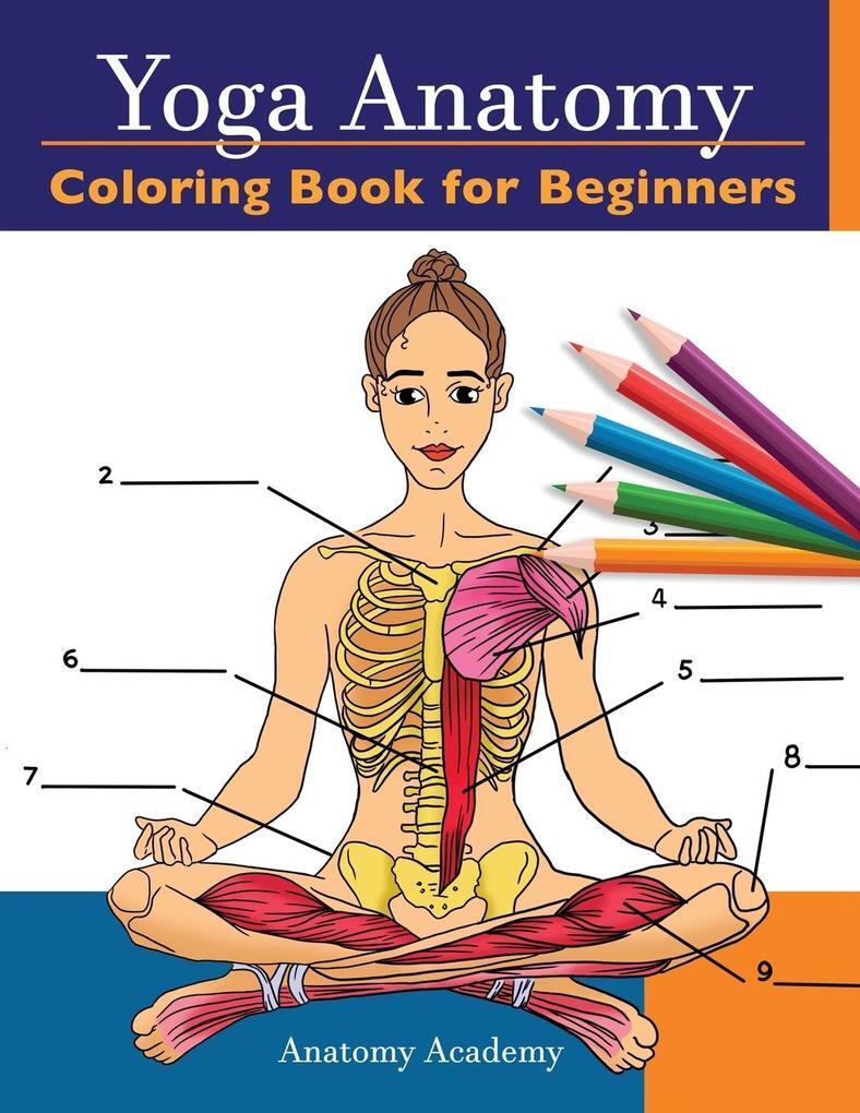Thumbnail - Yoga Anatomy Coloring Book For Beginners | Anatomy Academy | Englisch