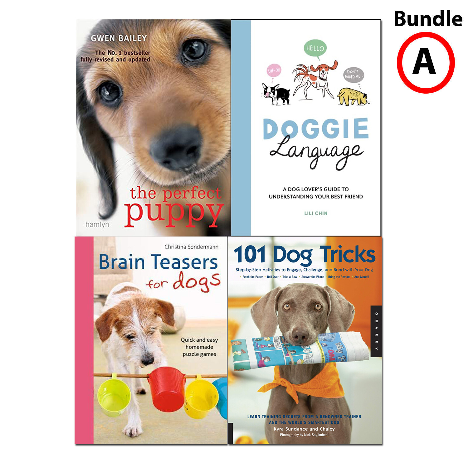 Brain teasers for dogs Quick and easy homemade puzzle games by Christina Sondermann (Paperback