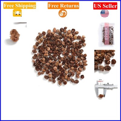 8OZ Bulk Mini Natural Pine Cones for Crafts & Decor, 110 Pieces