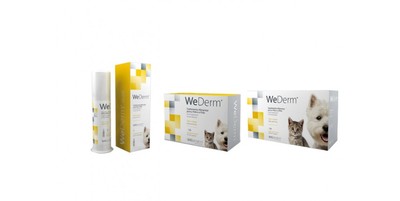 Wederm Wepharm Supplement Allergie Poil Peau Chien Chat Capsules Solution Orale Ebay