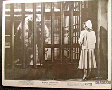 RAY HARRYHAUSEN:ANIMATOR (MIGHTY JOE YOUNG) ORIG,1949 VINTAGE PHOTO