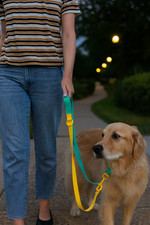 Petco Waterproof Dog Leash Set of 2 Biothane Style Teal Yellow Durable-AC211