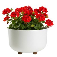 Howhomely ÜBertopf Blumentopf Creme B27Xh17 Pflanzgefäß Pflanztopf Kunststoff