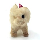 Bild 6 von 10