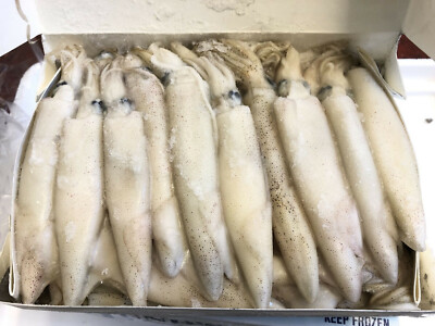 Calamari Squid 5Ib Box - Frozen Sea Bait - Fishing Bait | eBay Calamari Squid 5Ib Box - Frozen Sea Bait - Fishing Bait | eBay