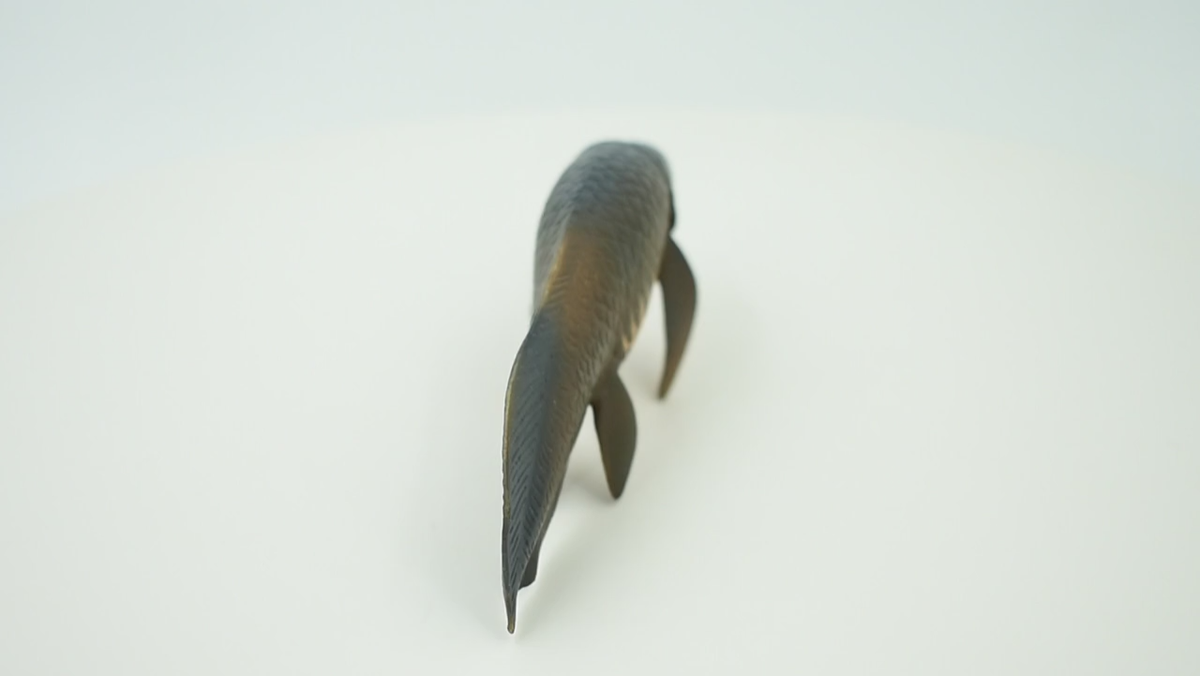 Arapaima Gigas Piraucu Amazon Fish, Realistic Toy Figurine 4.5