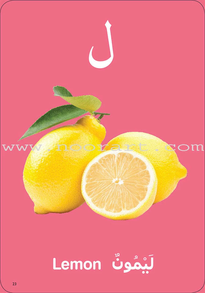 My First Arabic Game - Image 3 of 4