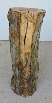 17'' White Oak Wood Log Split Intact Swedish Torch Crafts Decor Live Edge 5''D (A)