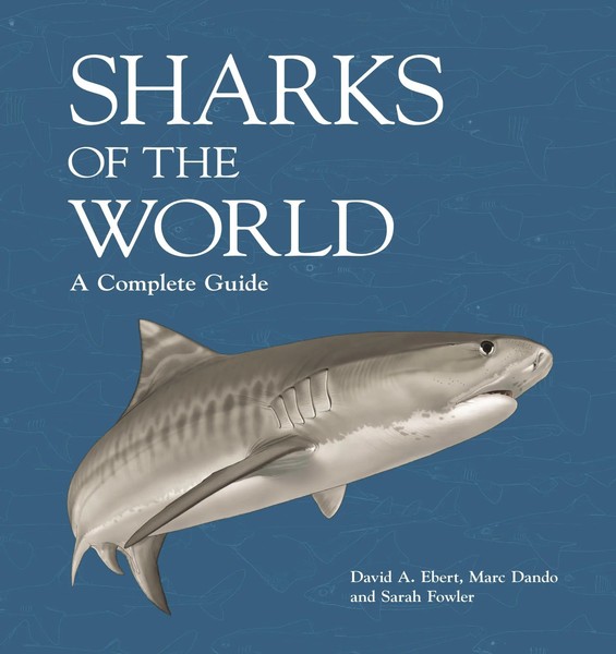 Sharks Of The World | A Complete Guide | David A. Ebert (U. A.) | Buch | 2021-image