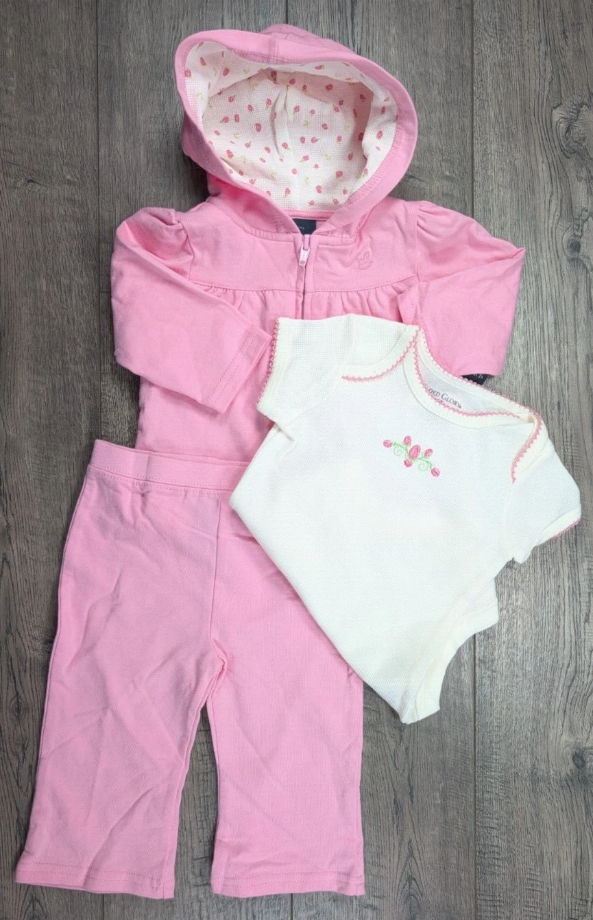 Baby Girl Clothes New Faded Glory 3-6 Month 3pc Pink Rose Bud Outfit