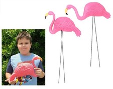 Large Pink Flamingo Yard Ornaments (Pack of 2 Different Designs)  Tall. Great