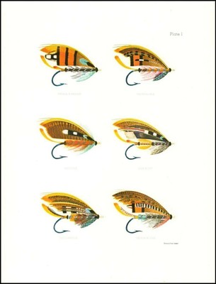 Fly Fishing Lures Bait Various Types Wyman Sons C 1950 Ebay