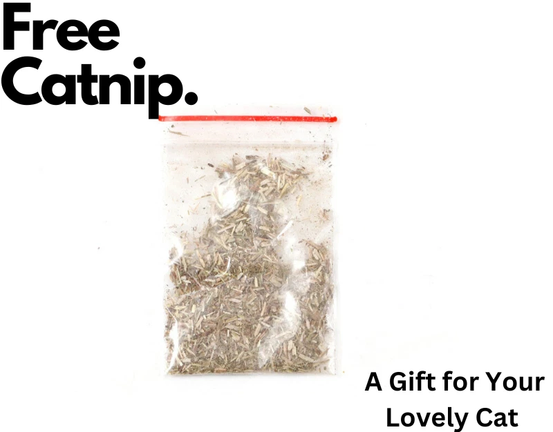 2 Pack Cat Scratch Cardboard Scratching Pad Scratcher Lounge Sofa Bed w/2 Catnip - Image 3 of 4