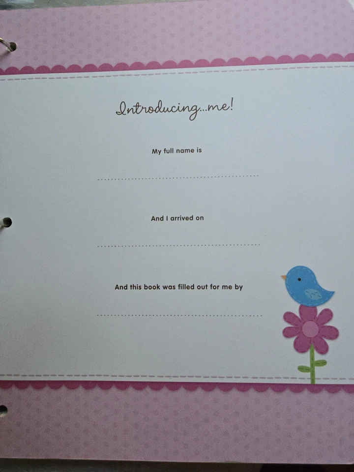 Hallmark女宝宝纪念品专辑5岁,鸟,全新带盒 — 第 4/4 张图片