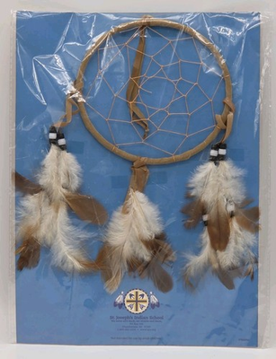 #ad #ad Dreamcatcher Native American Lakota Sioux St Josephs Indian School Feathers 5quot; $21.59
